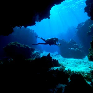 Dive from shore( 1 dive)